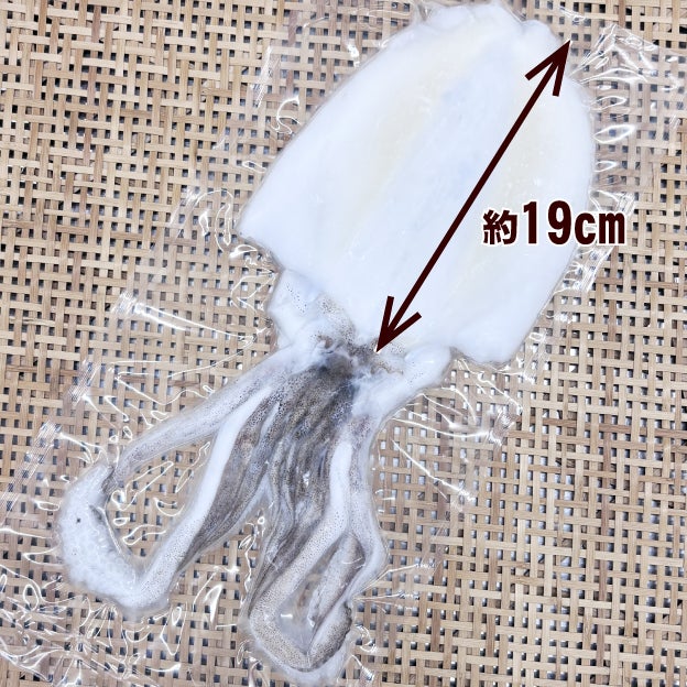 あおりいか（水いか）刺身用 [300gサイズ]※西海国立公園の島、長崎県